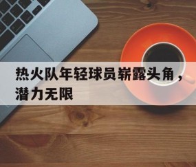 九游网页版入口-热火队年轻球员崭露头角，潜力无限的简单介绍