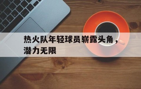九游网页版入口-热火队年轻球员崭露头角，潜力无限的简单介绍